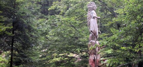 Indien Ojibwas - Jean-François GAVOTY