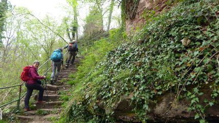 Montée au château de Greifenstein