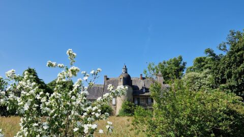 château la Cour